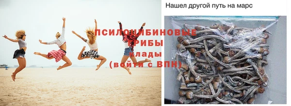 а пвп мука Алексеевка