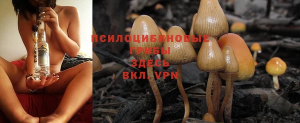 спиды Алексин