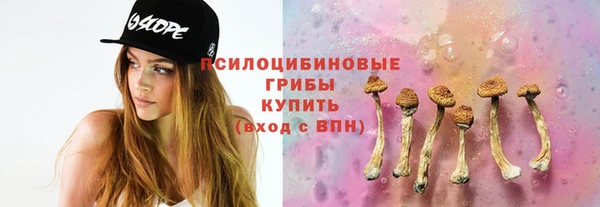 спиды Алексин