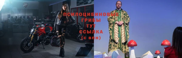 спиды Алексин